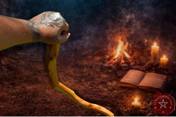 Cajado (92cm) | Galho Aceroleira