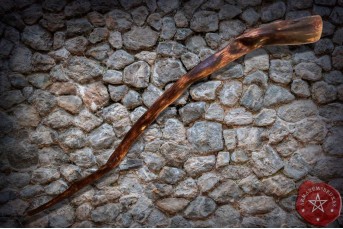 Cajado (92cm) | Raiz Figueira