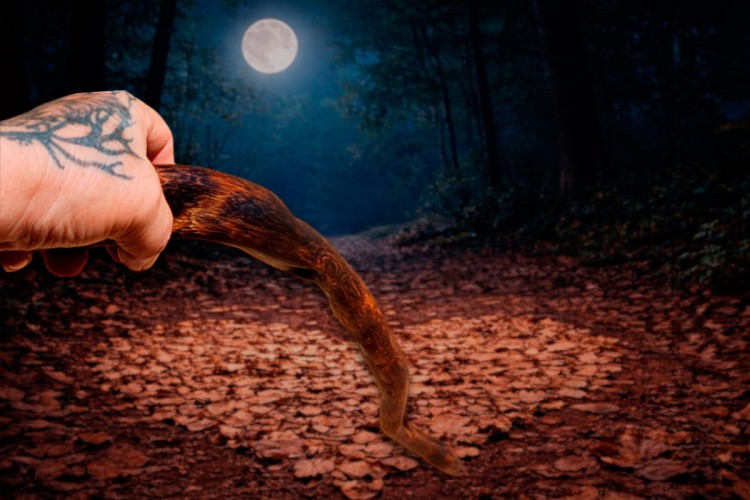 Cajado (92cm) | Raiz Figueira