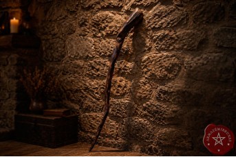 Cajado (92cm) | Raiz Figueira