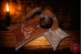Expositor Drinking Horn | Triple Horn