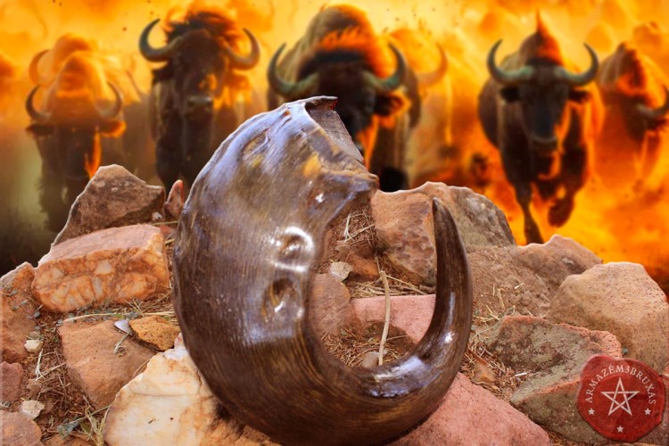 Chifre de Búfalo | Força Ancestral Chifre de Búfalo | Força Ancestral