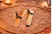 Conjunto Druid Sticks II