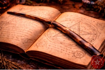 Varinha (40cm) | Galho de Amoreira