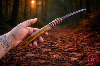 Varinha (35cm) | Galho Amoreira